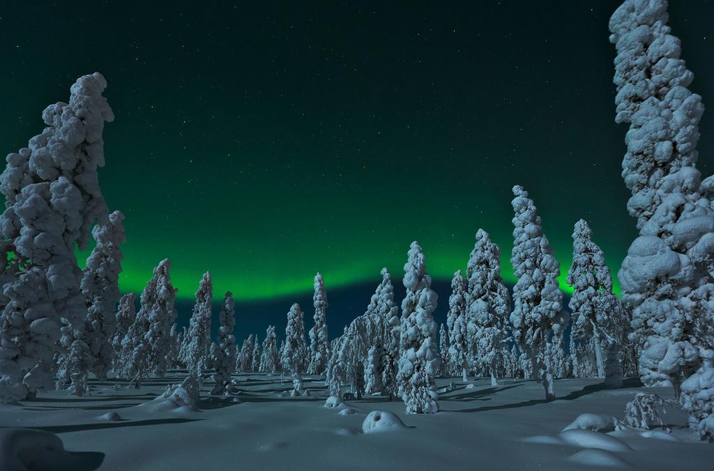 Jaakonkatu City Apartment Rovaniemi Esterno foto